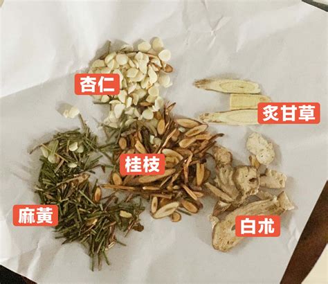 麻黃加朮湯|方劑學 14 講 麻黃湯